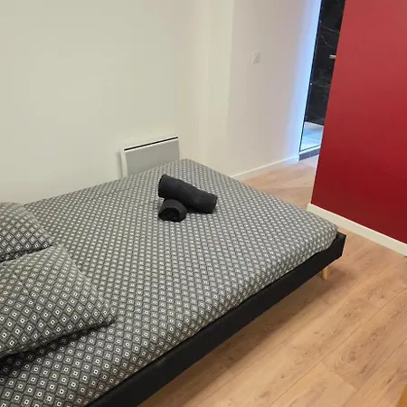 Le Magnifique, 15 Personnes, Garage, 3 Minutes A Pied Du Sanctuaire Et Gare Appartement *